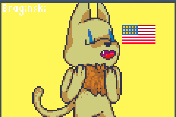 Americat! Pixel Art