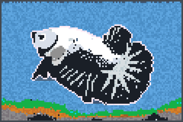 cupang fish Pixel Art