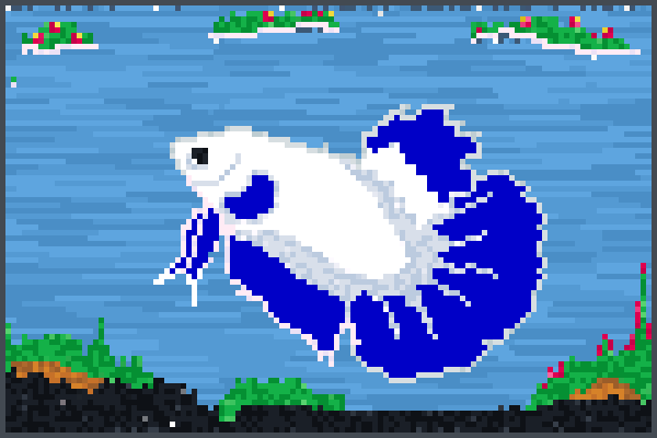 betta blue rim Pixel Art