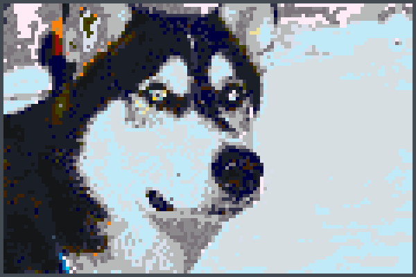 husky dog cool Pixel Art